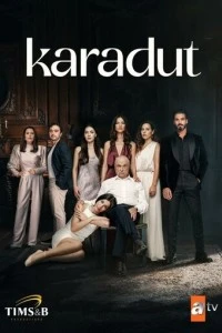 Чёрная шелковица смотреть онлайн бесплатно в хорошем качестве