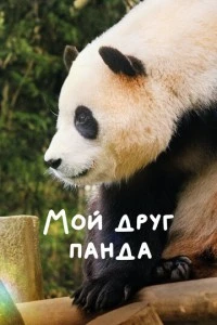 Мой друг панда смотреть онлайн бесплатно в хорошем качестве