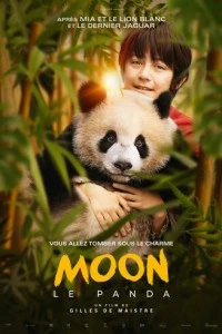 Моя панда смотреть онлайн бесплатно в хорошем качестве